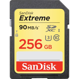 Модуль памяти  SD 256 Gb Sandisk SDXC Extreme, cl 10, UHS-I U3 (SDSDXNF-256G-GNCIN)