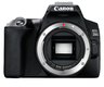 Цифровой  фотоаппарат Canon EOS 250D Body Black Б/У