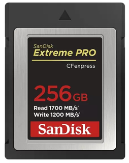 Карта памяти SanDisk Extreme Pro CFExpress Type B 256Gb R1700 W1200 (SDCFE-256G-GN4NN)