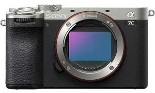 Цифровой фотоаппарат SONY Alpha A7C II body Silver