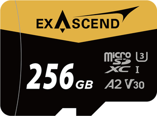 Карта памяти  Micro SD 256 GB Exascend Catalyst UHS-I V30 + адаптер SD